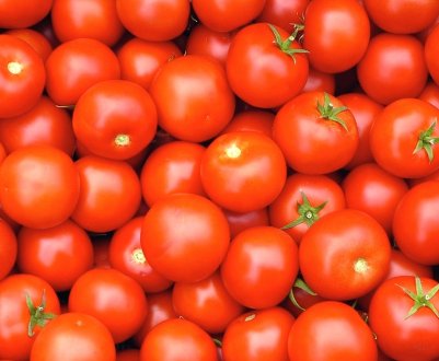 У боротьбі з коронавірусом допоможуть помідори