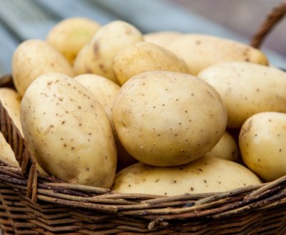 Картопля може бути недоступною для всіх