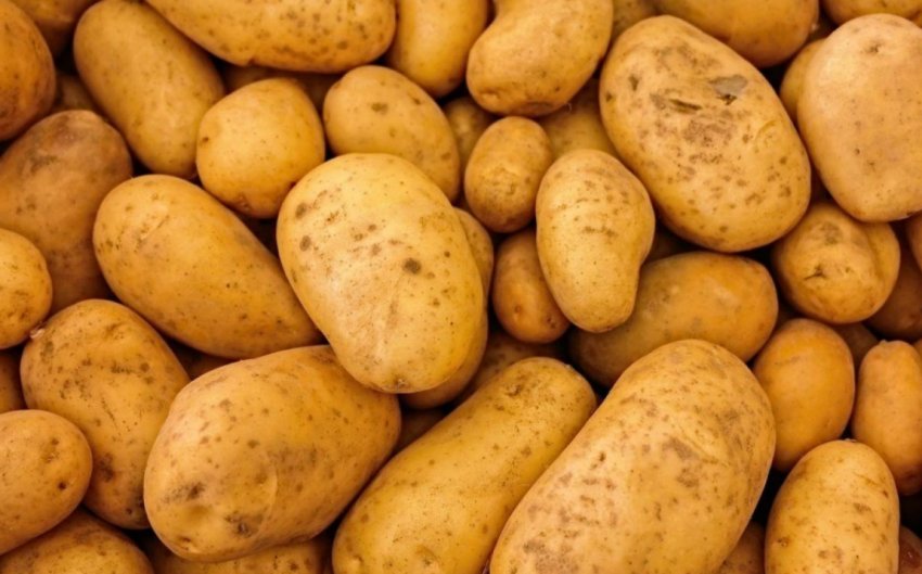 Дефіцит картоплі