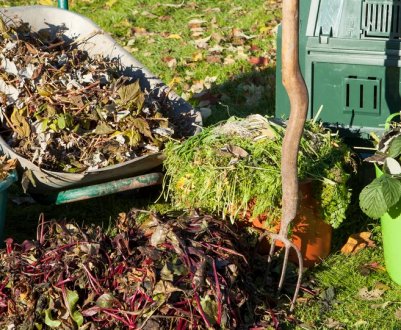 Не залишайте їх на ділянці на зиму! Небезпечні рослинні залишки