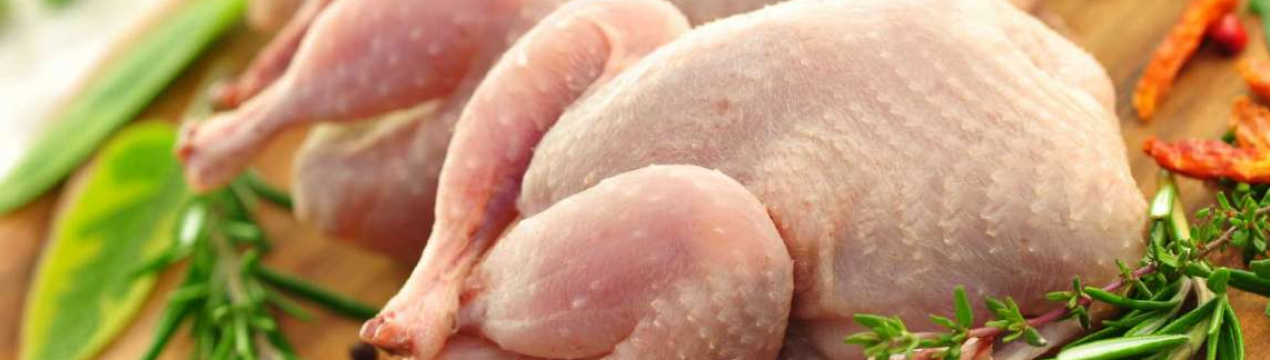 Українські виробники продукції птахівництва отримали доступ до нового ринку