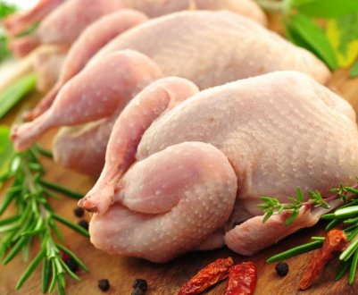 Українські виробники продукції птахівництва отримали доступ до нового ринку