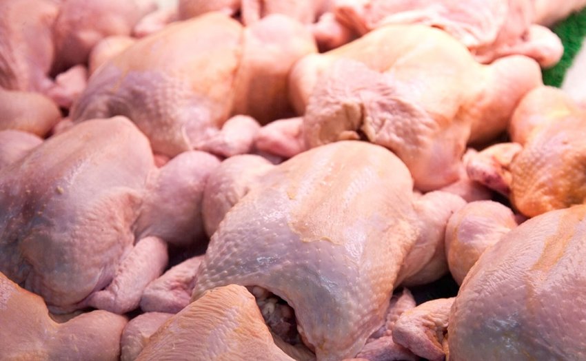 Продукція птахівництва