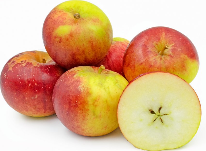 Яблоки Pixie Bio