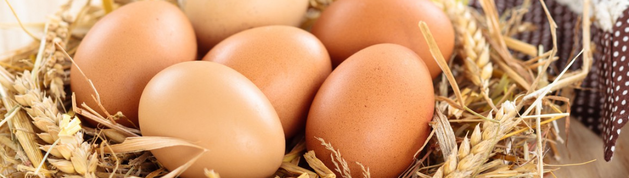 В Україні стало більше курячих яєць