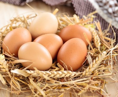 В Україні стало більше курячих яєць