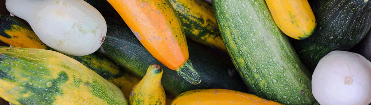 Тільки так кабачки будуть зберігатися свіжими до весни