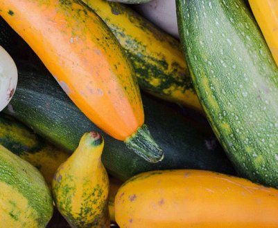 Тільки так кабачки будуть зберігатися свіжими до весни