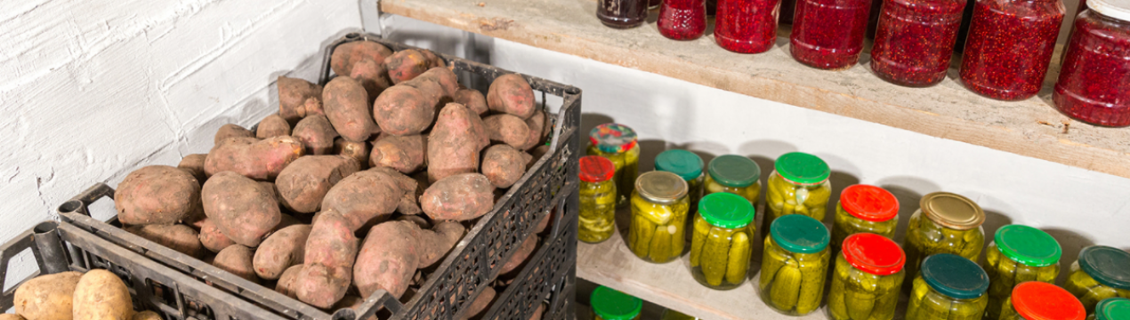 Як не втратити врожай: готуємо підвал до зберігання овочів