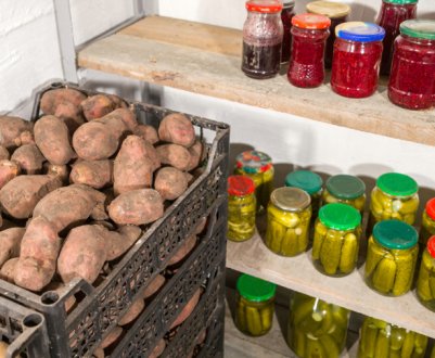 Як не втратити врожай: готуємо підвал до зберігання овочів