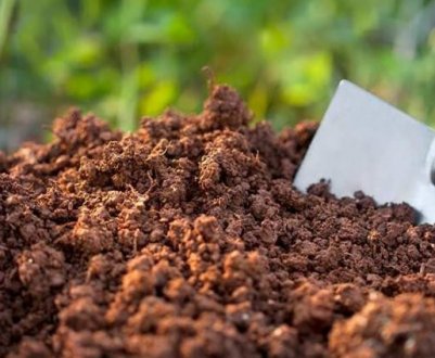 Як відновити ґрунт восени, щоб не залишитися без врожаю в наступному році