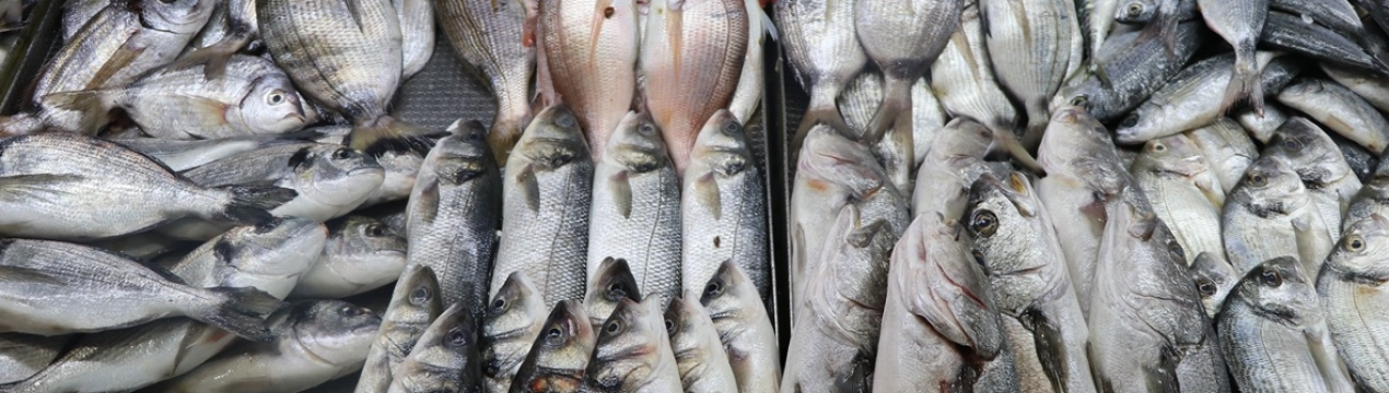 Стало відомо, які саме країни імпортують найбільше української риби