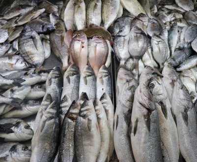 Стало відомо, які саме країни імпортують найбільше української риби