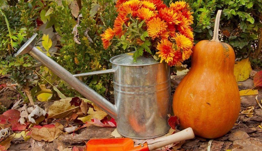 Жовтень у городі Жовтень у городі