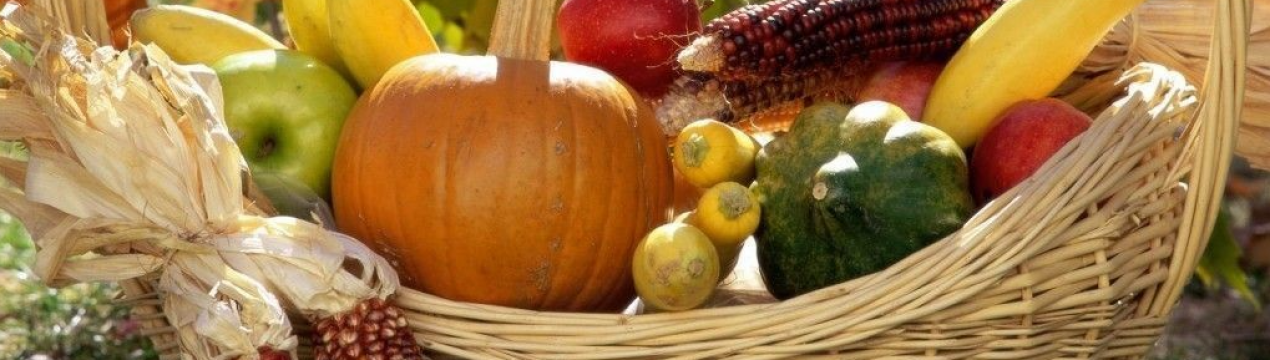 Не час розслаблятися! 10 важливих справ у саду та городі в жовтні