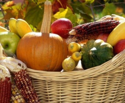 Не час розслаблятися! 10 важливих справ у саду та городі в жовтні