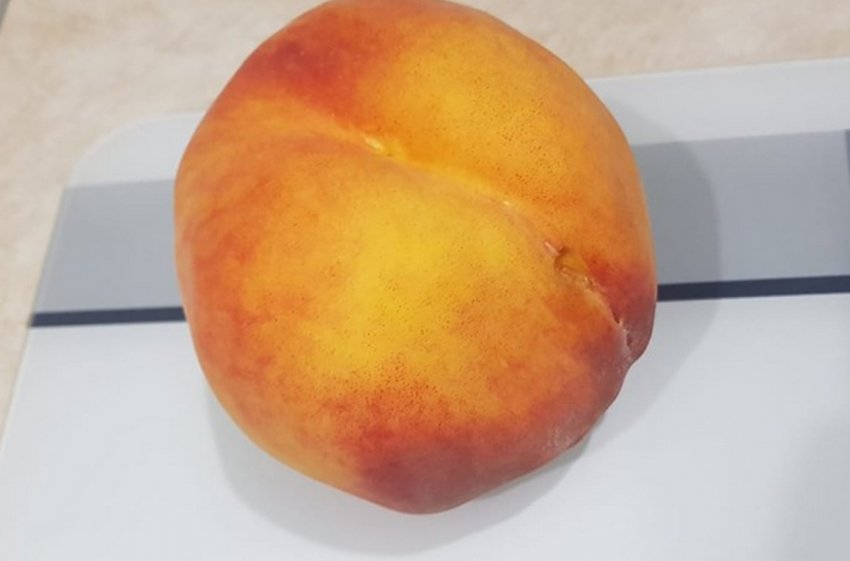 Персик-гігант