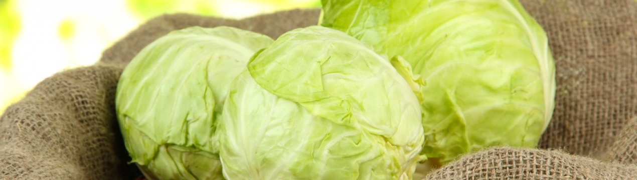 Всю зиму будто только с грядки! Прості способи зберегти капусту до весни