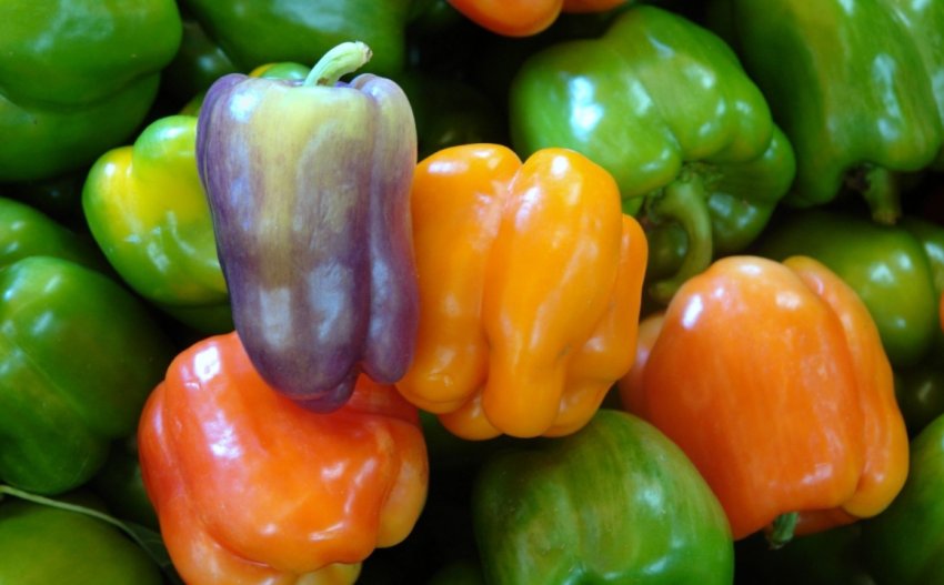 Перець Перець