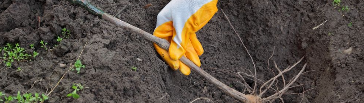 Зараз вимкнута функція перекладу слів кирилицею. Якщо є інші запитання або потребує допомоги - пишіть!