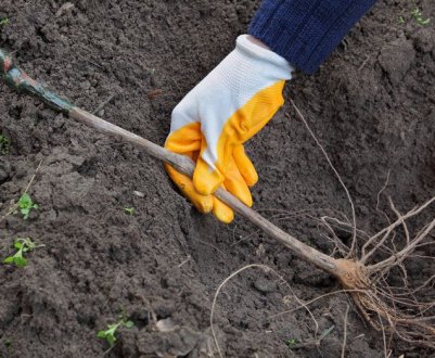Зараз вимкнута функція перекладу слів кирилицею. Якщо є інші запитання або потребує допомоги - пишіть!