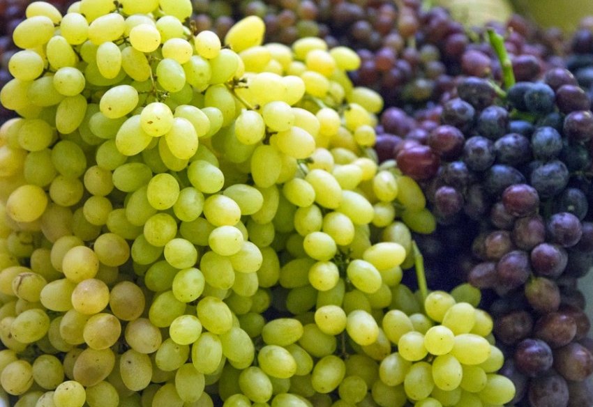 Виноград на рынке