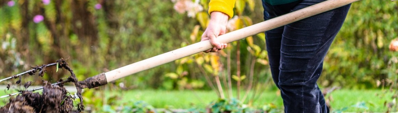 У дачників це найпопулярніше добриво в жовтні. Овочів вистачить хоч продавай!