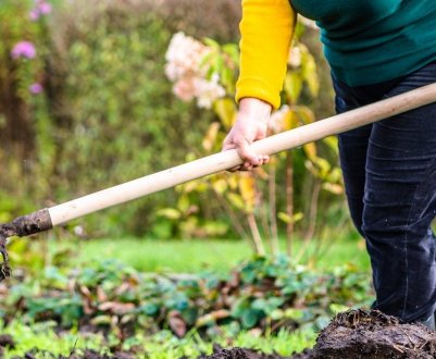 У дачників це найпопулярніше добриво в жовтні. Овочів вистачить хоч продавай!