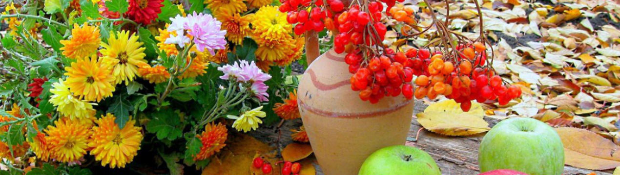 Їх потрібно рятувати в першу чергу! Які культури найбільше бояться вмерзання?