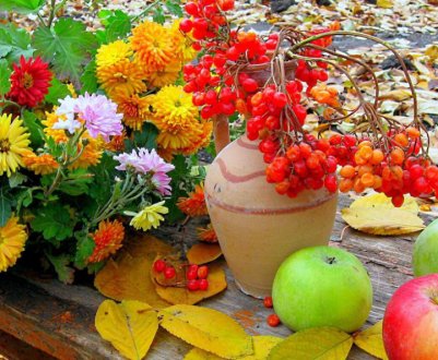 Їх потрібно рятувати в першу чергу! Які культури найбільше бояться вмерзання?