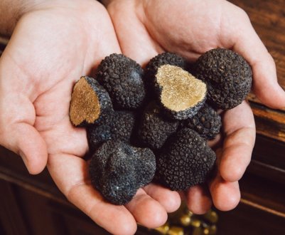 В Чернівецькій області вирощують найдорожчі в Україні гриби