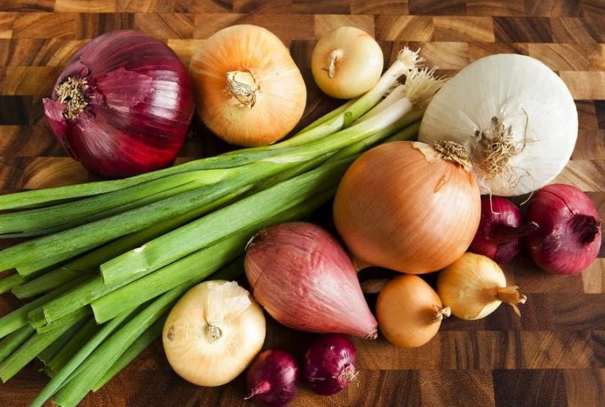 Подорож цибулі Подорож цибулі