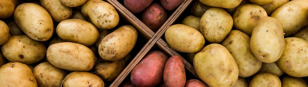 Картоплю визнали одним із найдорожчих овочів у світі