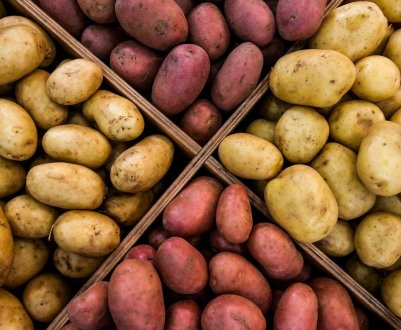 Картоплю визнали одним із найдорожчих овочів у світі