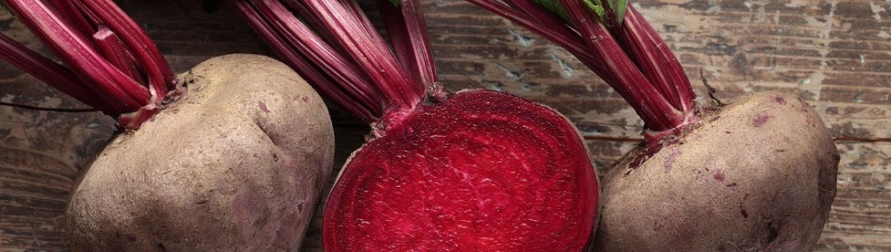 Генна модифікація буряка стала законною