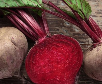 Генна модифікація буряка стала законною