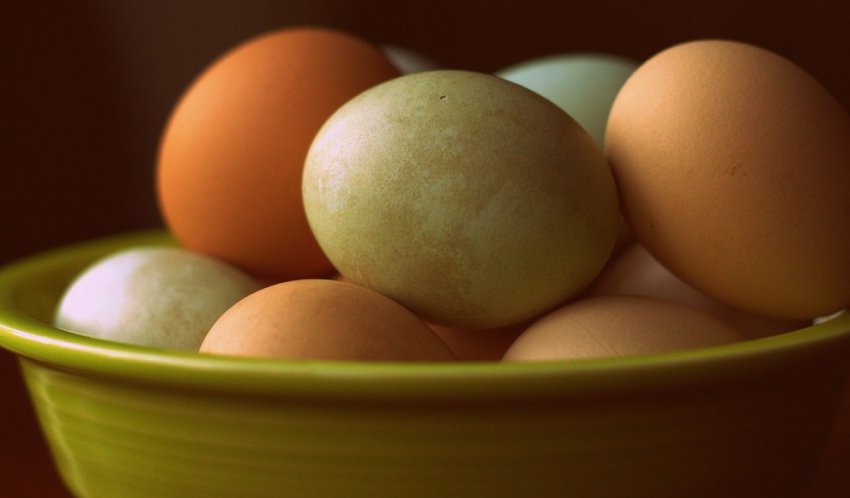 Веганські яйця