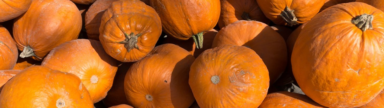 Україна збільшила виробництво гарбузів