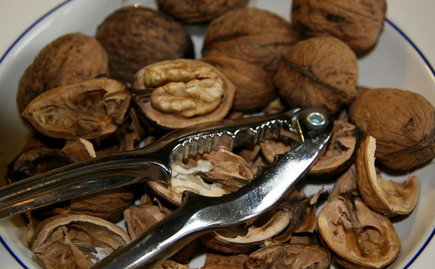 Розчин для змякшення черепки горіха