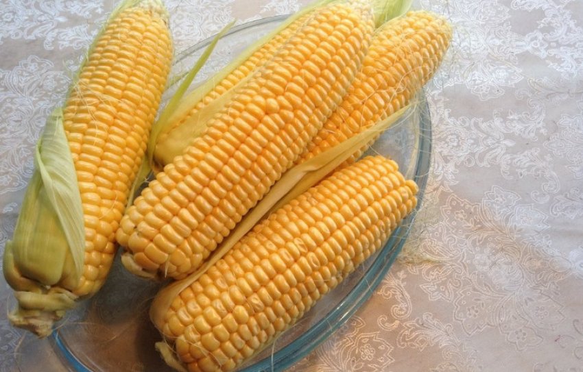 Кукурудза барон F1 Кукурудза барон F1