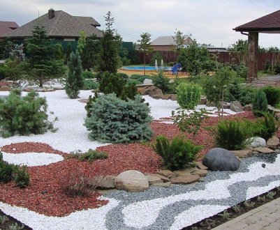 Добриво, яке звільнить від паразитів і хвороб на рік