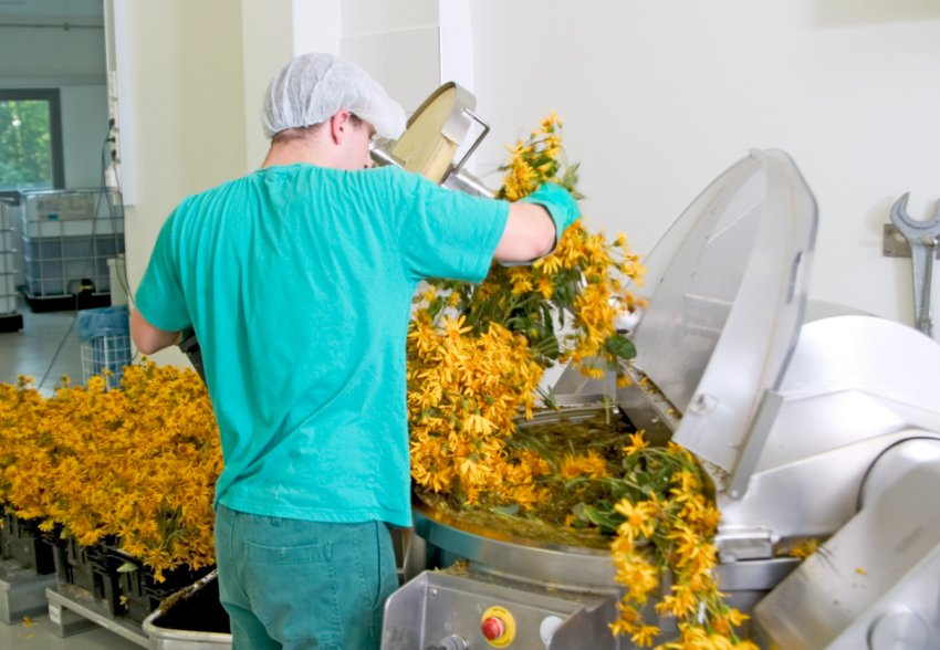 Переробка лікарських рослин Переробка лікарських рослин