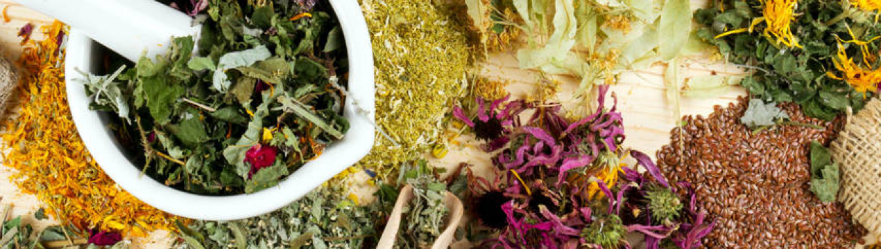 В Миколаївській області з'явиться підприємство з переробки лікарських рослин