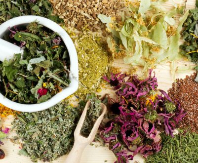 В Миколаївській області з'явиться підприємство з переробки лікарських рослин