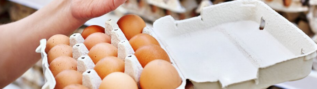 В Україні очікується підвищення цін на яйця