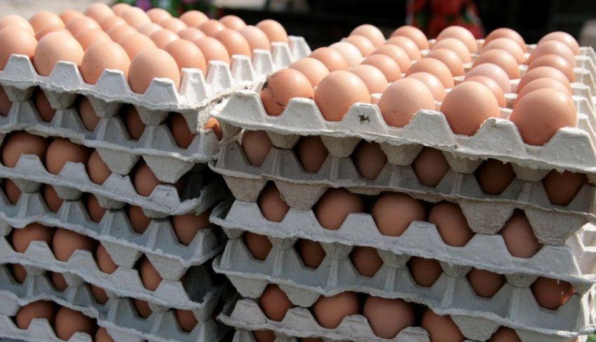 Підвищення цін на яйця Підвищення цін на яйця