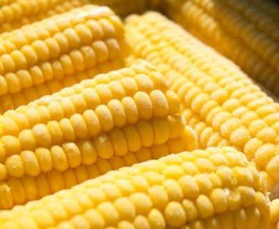 Як заморозити кукурудзу на зиму в домашніх умовах