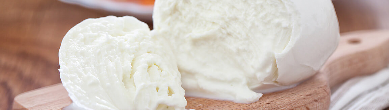 Закарпатські фермери виготовляють сир з молока буйволів