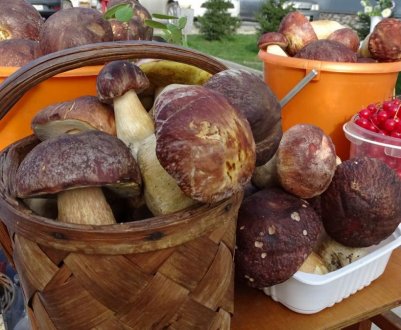 Гриби можуть зникнути з українських ринків