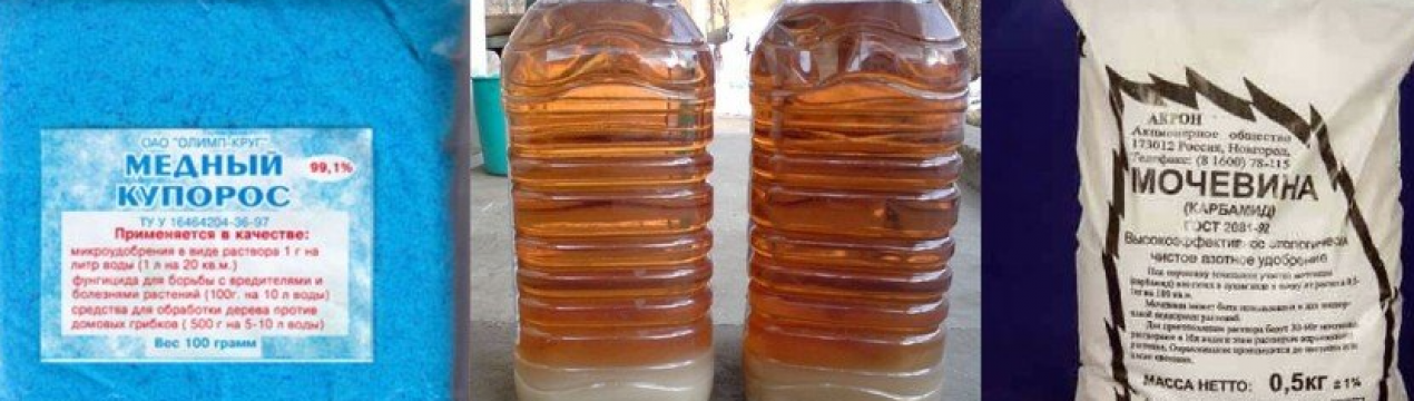 Дайте цю суміш усім плодовим деревам восени